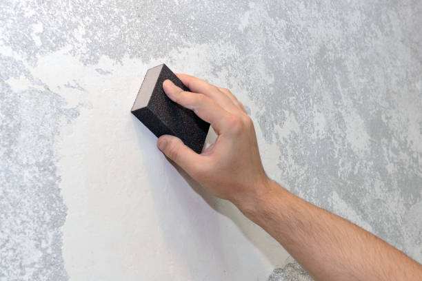  Baywood, NY Mold Removal Pros