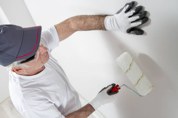 Best Basement Mold Removal  in Baywood, NY