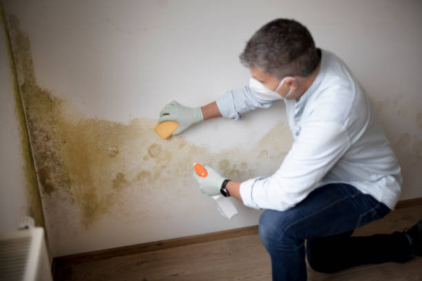 Best HVAC Mold Inspection and Cleaning  in Baywood, NY