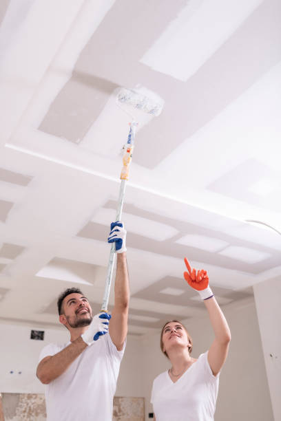 Best Mold Odor Removal Services  in Baywood, NY