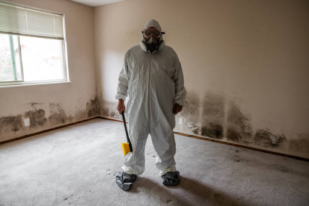 Best Airborne Mold Testing  in Baywood, NY