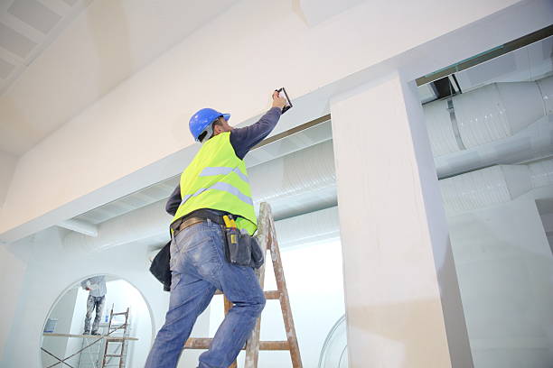 Best Attic Mold Removal  in Baywood, NY