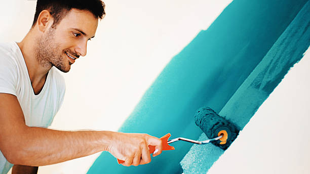 Trusted Baywood, NY Mold Removal Experts