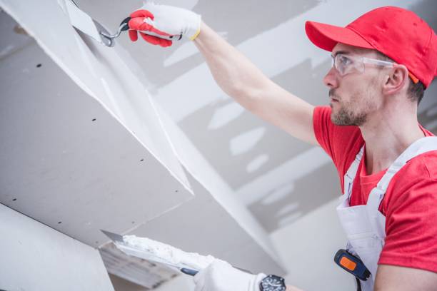 Best Residential Mold Inspection & Testing  in Baywood, NY
